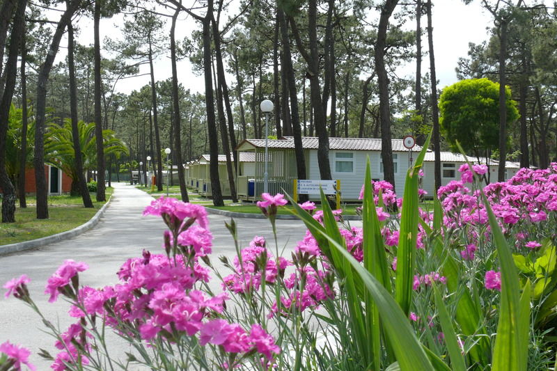 Hotel Parque De Campismo Orbitur Gala Figueira da Foz Exterior foto